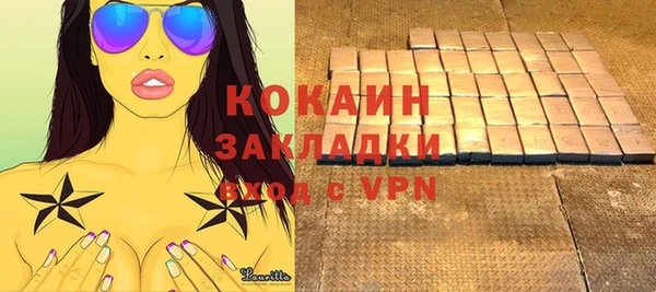 соль ск Абаза