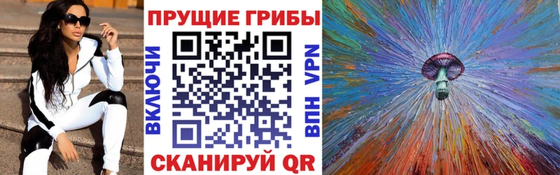 закладка  Ржев  Псилоцибиновые грибы ЛСД 